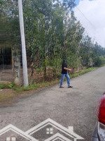 Bán Đất Tại Nguyễn Chí Thanh, Thạnh Bình, Tân Biên, Tây Ninh, 1,2 Tỷ, 262M2 Hàng Hot 200M2 Thổ Cư