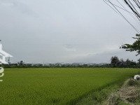 Đất Nền Đẹp Hậu View Lúa Tại Trần Nhân Tông, Cẩm Thanh, Hội An, 13,7 Tỷ, 545 M2 Giá Cực Chất