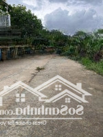 Chính Chủ Ket Bán 400M2 Giá Bán 11Ty5 Hẻm 1/ Nguyễn Xiển Gần Vin