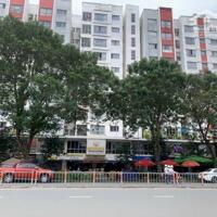 Bán nhà ĐOÀN GIỎI - TÂN PHÚ - HIỆU SUẤT THU NHẬP TẠP HÓA 50 TRIỆU/THÁNG - (4x13)M - 2 TẦNG