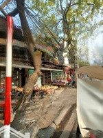 Bán Nhà Mặt Phố Láng Hạ Cực Hiếm Kinh Doanh Sầm Uất 115 Mét Nhà 6 Tầng Giá Chỉ 63 Tỷ