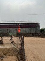 Tài Chính Chỉ Hơn 2Tỷ Sở Hữu Ngay Đất Mặt Đường Trục Chính 2Oto Tránh Hoàng Trạch Mễ Sở