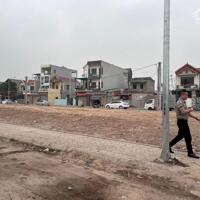 Bán đất đấu giá Thạch Lỗi, Thanh Xuân, Sóc Sơn. Cơ hội đầu tư sinh lời cao