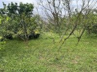 Đất : Tiến Xuân _ Thạch Thất _ Hà Nội . View Đẹp Nằm Trong Thung Lũng
+ Diện Tích 1800M Có 200M Đất
