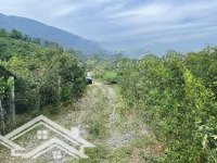 Đất : Tiến Xuân _ Thạch Thất _ Hà Nội . View Đẹp Nằm Trong Thung Lũng
+ Diện Tích 1800M Có 200M Đất