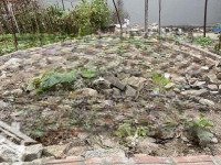 Bán Lô Đất Thiết Bình, Vân Hà Gần Hồ Điều Hoàdiện Tích61M2 Giá Nhỉnh 3 Tỷ Liên Hệ: 0914682909