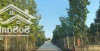 Bán Lo Đất Tại Xã Tân Hiệp, Tân Châu, Tây Ninh Chỉ 288 Triệu/Lô Diện Tích: 125M2 Thổ Cư 60M2 0982238238