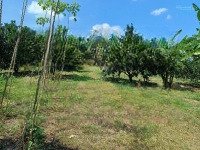 Bán Đất Kcn Sông Cầu Đẹp Để Ạ/C Đầu Tư Tách