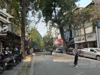 Bán Nhà Phố Trần Xuân Soạn Phường Phố Huế