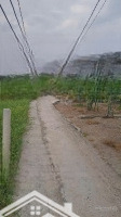Bán Đất 208M2, 500 Triệu Ở Xã Phú Ngãi Trị, Châu Thành, Long An Giá Siêu Hời