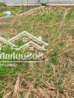 Bán Đất Tại Xã Phụng Châu, Chương Mỹ, 52M2, Đường Thông, Ô Tô, Kinh Doanh Đỉnh, Mặt Tiền Đẹp