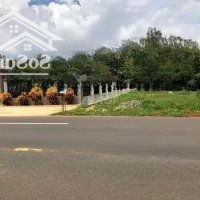 Bán (1,2 Sào Thổ Cư) Shr Ngay Ql14, Chợ 3 Kcn 4600Ha, Sổ Hồng, Trung Tâm Đông Đúc Tiện Ích 90 Triệu/Mn