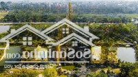 Chính Chủ Gửi Bán Lô Đất Đấu Giá Xã Phù Ủng, Ân Thi, Hưng Yên Vị Trí Kinh Doanh Sẵn