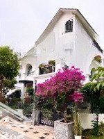Khan Hiếm, Mặt Tiền Mạc Đỉnh Chi P.đakao Q1, Ngang 8M.