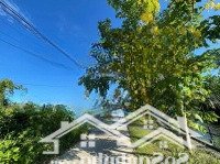 Bán Đất View Hồ Tại Dx 018, Cẩm Thanh, Hội An, Quảng Nam, 4,6 Tỷ, 227 M2, Hàng Hiếm!