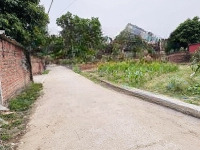 Đất Yên Ninh - Hiền Ninh Đường Thông Ô Tô Cách 50M Ra Trục Chính Giá Chỉ 2X. Liên Hệ: 0976677492