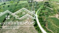 Bán Lô Đất Ninh Tây,Ninh Hoà Khu Vực Tìm Năng Giá Rẻ Dể Đầu Tư 708M2 Sẳn 60M2 Ont