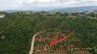 Bán Đất Xã Nam Hà, Lâm Hà, Lâm Đồng, 1,55 Tỷ,Diện Tích1026M2, Đẹp Xuất Sắc