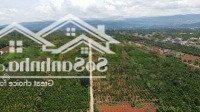 Bán Đất Xã Nam Hà, Lâm Hà, Lâm Đồng, 1,55 Tỷ,Diện Tích1026M2, Đẹp Xuất Sắc