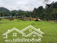 Bán Gấp Đất Thổ Cư Tại Tiến Xuân, 34 Triệu/M2, 106.1M2, Hàng Hiếm