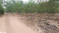 Bán Lô Đất Chính Chủ :Diện Tích204M , 5 X 38,4M Có Thổ Cư . Gần Chợ Mới Và Trường Cao Đẳng Bình Phước