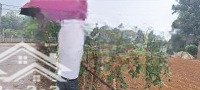 Bán Đất Nền 2000M2 Tại Xã Minh Quang, Ba Vì, Hà Nội, Giá Thỏa Thuận