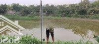 Bán Đất Nền 2000M2 Tại Xã Minh Quang, Ba Vì, Hà Nội, Giá Thỏa Thuận