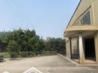 Cho Thuê 4000M2 Kho Xưởng Tại Phù Chẩn, Từ Sơn, Bắc Ninh, Giá Chỉ 52K/M2. Liên Hệ: 0902132489