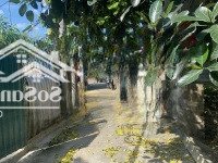 Chỉ 31 Triệu/M2 Sở Hữu Luôn 247M2 Đất Sổ Đỏ Cự Khối - Lb - Hn Mặt Tiền 18M Ô Tô Vào, Liên Hệ: 0902132489