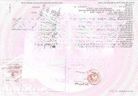 Bán Gấp Nhà Mặt Phố Tôn Thất Đạm, 45 Tỷ, 64M2, Pháp Lý Đầy Đủ