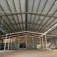 Cho Thuê Xưởng Cưa Xẻ & Viên Nén Gỗ Tại Chơn Thành – Bình Phước | Diện Tích 70.000m²