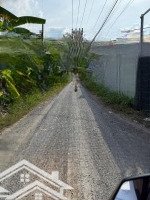 Bán Đất Kênh Số 10 Kênh A,Xã Lê Mình Xuân,B.chanh,Tp.hcm Diện Tích :35M X 30M=1000M2 Đất Cln 6Ty