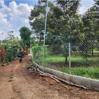 Bán đất vườn sầu riêng