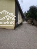 Bán Đất Đẹp Thôn Tráng Việt Mê Linh Hn
Diện Tích 58Mmặt Tiền4M Giá Bán 37 Triệu 50M Ra Đường Ô Tô Tô Chánh