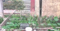 Tôi Chính Chủ, Cần Bán 56M2 Đất Đông Dư, Ngay Hồ, Mặt Tiền 4.5M, Ngõ Thông Xe 7 Chỗ, Giá Bán 5.8 Tỷ