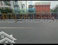 Bán Nhà Mặt Phố Đường Lê Trọng Tấn, Tân Phú, Hồ Chí Minh, 45 Tỷ, 300 M2
