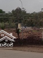 Bán Đất Tại Thị Trấn Trâu Quỳ, 155 Triệu/M2, 90M2, Chính Chủ Bán Gấp