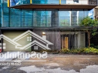 Bán Gấp Tòa Văn Phòng Thu Nhập 110 Triệu/Th Đường Đào Duy Anh ,P9, Phú Nhuận (12X12M) 39,5 Tỷ Tl
