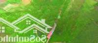 Bán Đất Phường Bình Minh Thị Xã Mộc Châu Giá Cực Chất 9,2 Tỷ, 5089 M2
