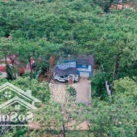 Bán Biệt Thự 4 Phòng Ngủ+ 2 Vệ Sinhtại Đường Số 1, Thị Trấn Măng Đen, Kon Plông, Kon Tum, 17 Tỷ Vnd, 1000 M2