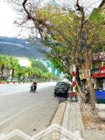 Hot ! Bán Nhà Liễu Giai - Vip Ba Đình - Khu Phân Lô Hiếm Nhà Bán-Ngõ Thông Oto - Gần Phố-61M*3T !