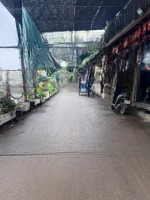 Đất Hoa Hậu, View Hồ, Đường Ô Tô Tránh, Chưa Đến 9 Tỷ