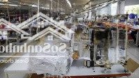 Cho Thuê Kho Xưởng Đg Tân Thới Nhất 8 Quận 12 Diện Tích 4500 M2 Giá Bán 450 Triệu Pccc Tự Động Kiểm Duyệt