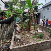 B,án Đất Thổ Cư Vân Canh - Hoài Đức, 45m2 Lô góc 3 thoáng ngõ nông cách oto 70m giá đầu tư.