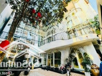 Bán Biệt Thự Đảo Ngọc Tây Hồ 300 Triệu/M2, Không Gian Sân Vườn, Ô Tô Vào Nhà Mặt Tiền 11.3M, 50 Tỷ