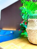 Cho Thuê Cc Mini 2 Phòng Ngủ+ 1 Vệ Sinh 50M2, 11,5 Triệu Tại Nguyễn Khoái, Q4, Hcm