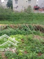Bán Đất Phúc Lợi Gần Trường Cấp 1,2 Lê Quý Đôn, Mầm Non Ban Mai Xanh Tiện Ích Ngập Tràn