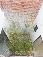Bán Nhà Mặt Phố Nguyễn Cừ, 37,5 Tỷ, 200M2, 5 Phòng Ngủ 4 Vệ Sinh Pháp Lý Đầy Đủ. Nở Hậu 10M Tiện Cho Thuê