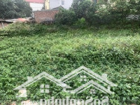 Bán Đất Thôn Đồng Phật Huyệnoai 60 M2 3.7 Tỷ