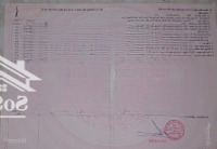 214M2 Tdp Vạn Thiện Phường Ninh Đa, Cách Quốc Lộ 1A Chỉ 200M, Đường Bê Tông 2 Tấm, Giá Chỉ 980 Triệu